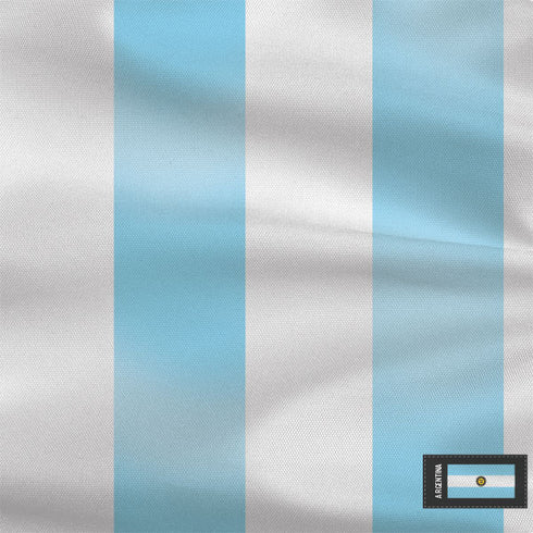 Argentina Soccer Flag Wii Remote Controller Skin